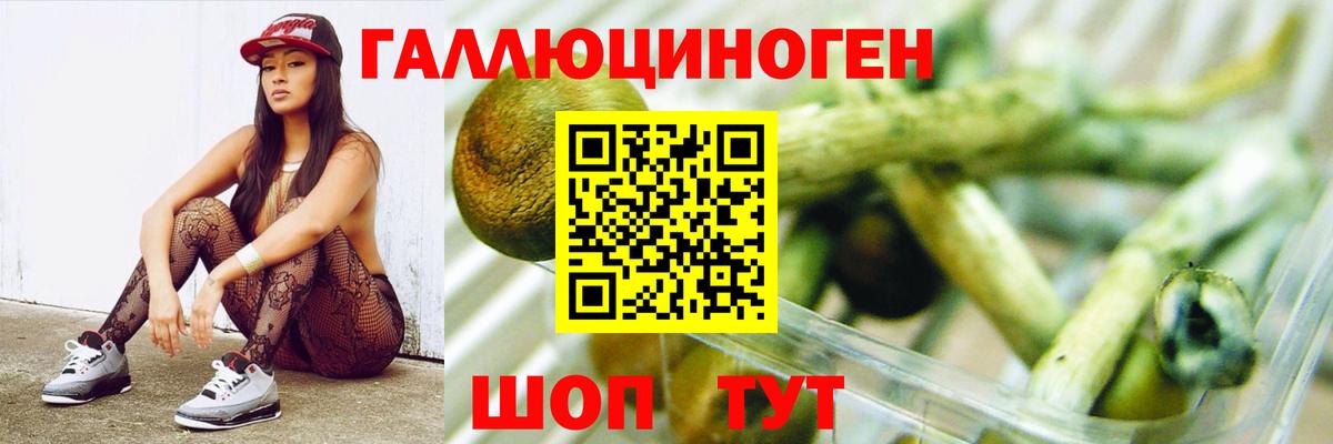 Галлюциногенные грибы GOLDEN TEACHER Заволжье