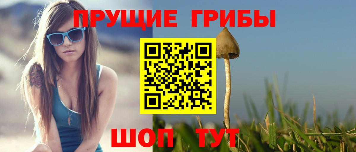где продают   Вход с VPN  Заволжье  Псилоцибиновые грибы мицелий  Галлюциногенные грибы Psilocybe 